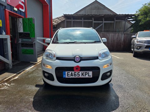 Fiat Panda TWINAIR LOUNGE DUALOGIC 2