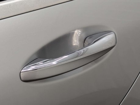 Mercedes-Benz S Class 3.0 S350 L AMG Line Executive Bluetec Auto 4dr 31