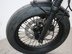 Mutt Mongrel 125 Pre-registered 29