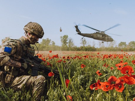 Military Offers