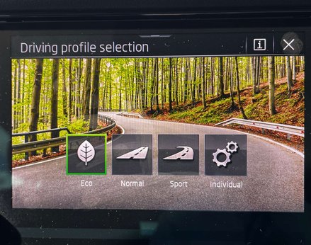 Skoda Kodiaq 1.5 Kodiaq SE L Executive TSi Semi-Auto 5dr 48