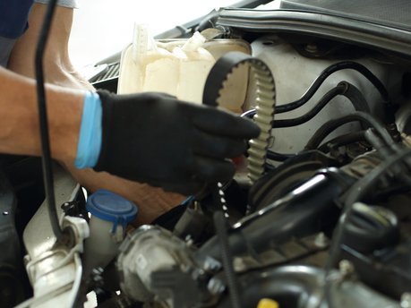 Timing Belts and Chains