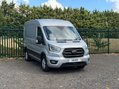 Ford Transit 350 LIMITED P/V ECOBLUE 14