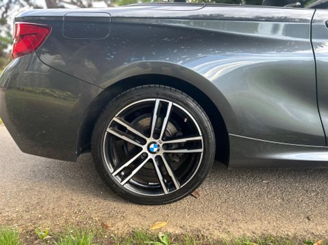 BMW 2 Series 218I M SPORT 26