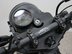 Mutt Akita 125 Pre-registered 27