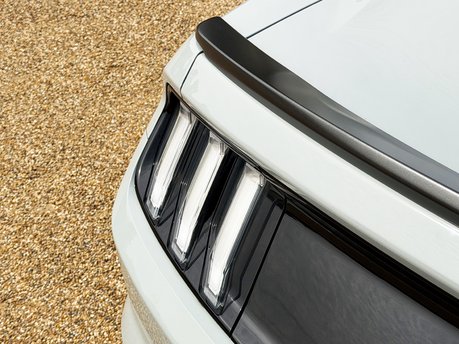 Ford Mustang MACH 1 24