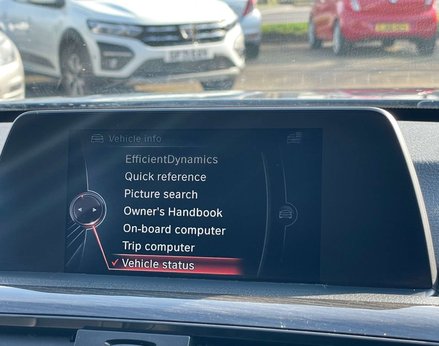 BMW 4 Series 2.0 428I Luxury Auto 2dr 33