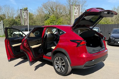 Lexus NX 300H LUXURY - PANORAMIC ROOF -2 OWNERS - 7 LEXUS SERVICES 50