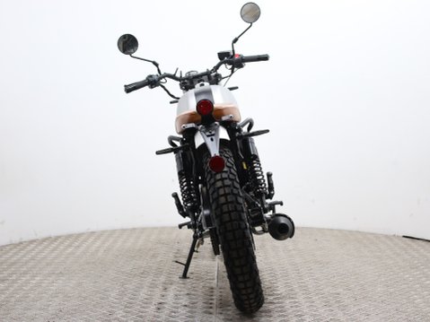 Mutt Akita 125 Pre-registered 5