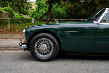 Austin Healey 3000 15