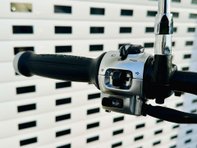 Royal Enfield Super Meteor 0.6 Super Meteor 650 29