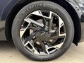 Kia Sportage 1.6 T-GDi MHEV GT-Line SUV 5dr Petrol Hybrid DCT Euro 6 (s/s) (157 bhp) 14
