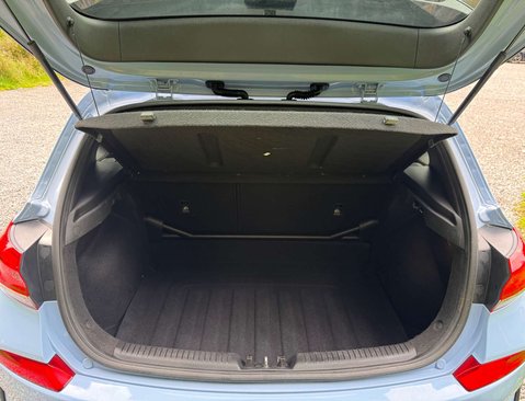 Hyundai i30 2.0 i30 N Performance TGDi 5dr 46