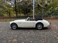Austin Healey 3000 33
