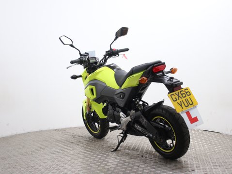 Honda MSX125 MSX 125-G 9
