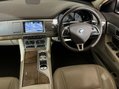 Jaguar XF D PREMIUM LUXURY SPORTBRAKE 12