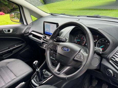 Ford Ecosport ACTIVE 17