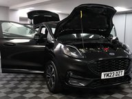 Ford Puma ST-LINE MHEV 15