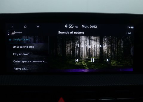 Kia EV6 EV6 GT-Line S 5dr 33