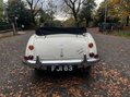 Austin Healey 3000 36