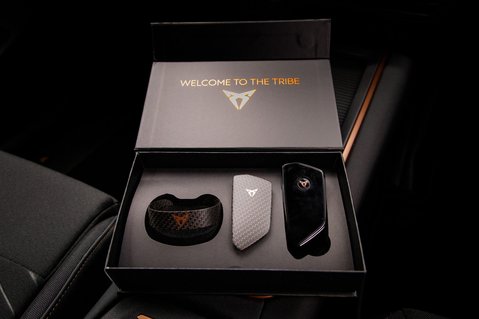 Cupra Born V2 15
