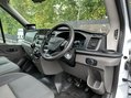 Ford Transit 350 LEADER C/C ECOBLUE 12