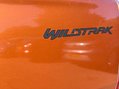 Ford Ranger 3.2 Ranger Wildtrak 4x4 Double Cab TDCi Auto 4WD 5dr 13