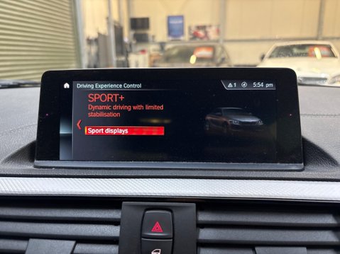BMW 2 Series 3.0 M240i Auto Euro 6 (s/s) 2dr 39
