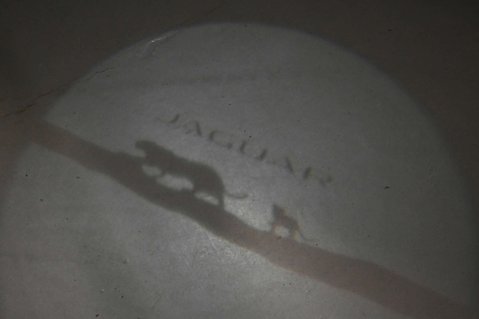 Jaguar E-Pace 2.0 E-Pace R-Dynamic S AWD Auto 4WD 5dr 42