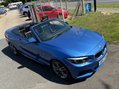 BMW 2 Series 218I M SPORT CONVERTIBLE 43
