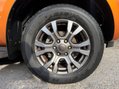 Ford Ranger WILDTRAK 4X4 DCB TDCI 13