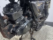 Bullit Bluroc 2021 6K RUNNING RETRO MODERN CLASSIC BIKE PROJECT 125CC LEARNER 17