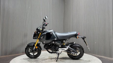 Honda MSX125 GROM 125 2022 5 SPEED 6K MOT OCTOBER 2027 125CC MINI BIKE 8