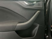 Skoda Kamiq 1.0 Kamiq Monte Carlo TSi 5dr 36