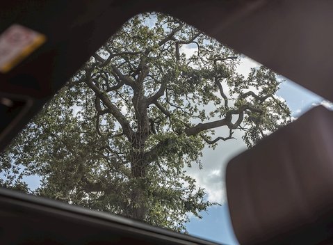 Land Rover Range Rover 3.0 TDV6 Vogue 17