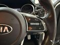 Kia Pro Ceed 1.6 T-GDi GT Shooting Brake DCT Euro 6 (s/s) 5dr 41