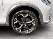 Cupra Formentor 1.5 TSI V2 SUV 5dr Petrol DSG Euro 6 (s/s) (150 ps) Cruise Control - Heate 10