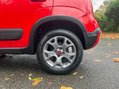 Fiat Panda RED MHEV 35
