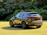 Lexus NX 350H 2