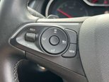 Vauxhall Grandland X 1.6 13.2kWh Business Edition Nav Premium SUV 5dr Petrol Plug-in Hybrid Auto 31