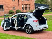 Ford Kuga ST-LINE X EDITION 6