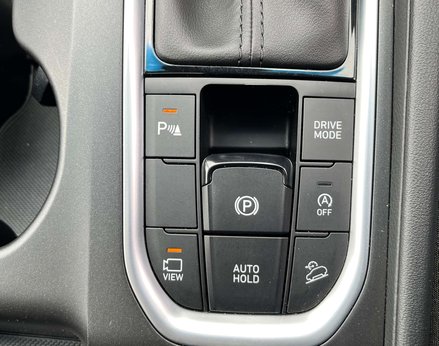 Hyundai SANTA FE 2.2 Santa Fe Premium SE CRDi Auto 4WD 5dr 69