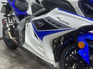 Lexmoto LXR 2020 8K E4 PROJECT SPORTS BIKE 125CC LEARNER BIKE 28