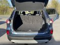 Ford Kuga TITANIUM FIRST EDITION ECOBLUE 19