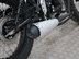 Mutt Akita 125 Pre-registered 20