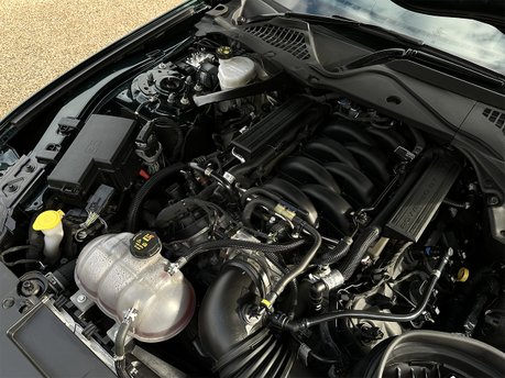 Ford Mustang BULLITT 91