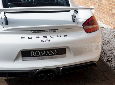Porsche Cayman (981) GT4 21