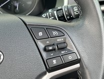Hyundai TUCSON 1.6 T-GDi Premium SE SUV 5dr Petrol DCT Euro 6 (s/s) (177 ps) 24
