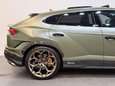 Lamborghini Urus 4.0 V8 BiTurbo Performante SUV 5dr Petrol Auto 4WD Euro 6 (666 ps) 21