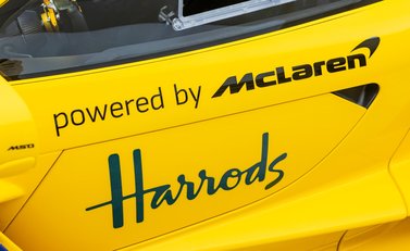 McLaren Senna GTR LM 66